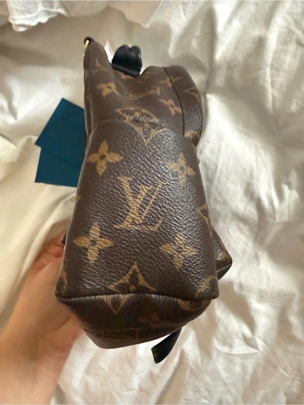 Louis vuitton mini palm springs backpack